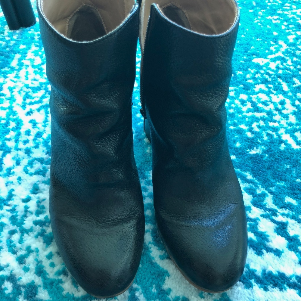 Everlane Leather Ankle Boots
